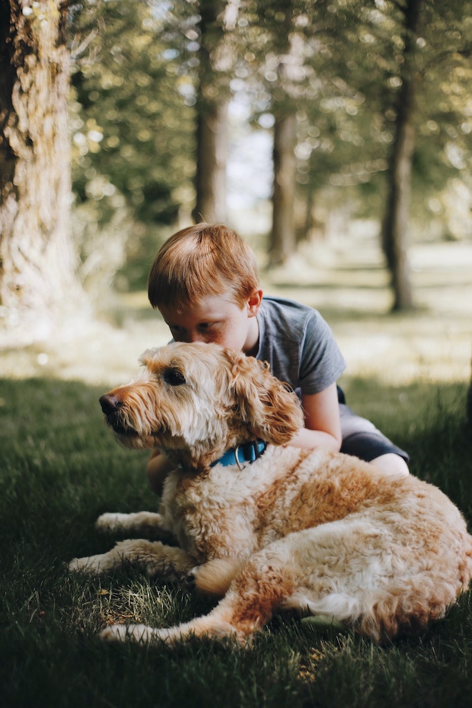 Boy with autism sitting outside with therapy dog.