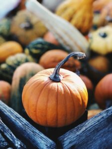 A small basket filled with pumpkins.
