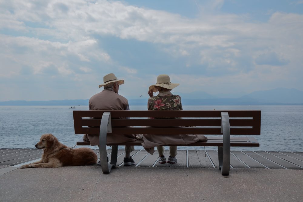 A couple sits on an ocean-side bench with their dog